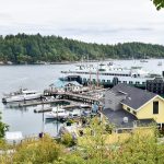 Bottom two-thirds of frame features a small harbour with yellow building, pier, boats moored up and a white and green ferry. Pale grey water in the harbour, green fir trees on horizon and pale grey sky