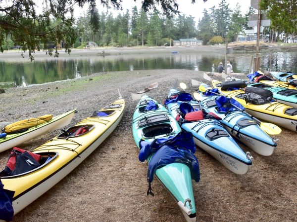 Row of sea kayaks along a beach covered in pine needles. The kayaks are yellow, mint green blue with oars and life jackets stashed on board. There is a body of green water above the beach and across the water are fir trees and a couple of houses.