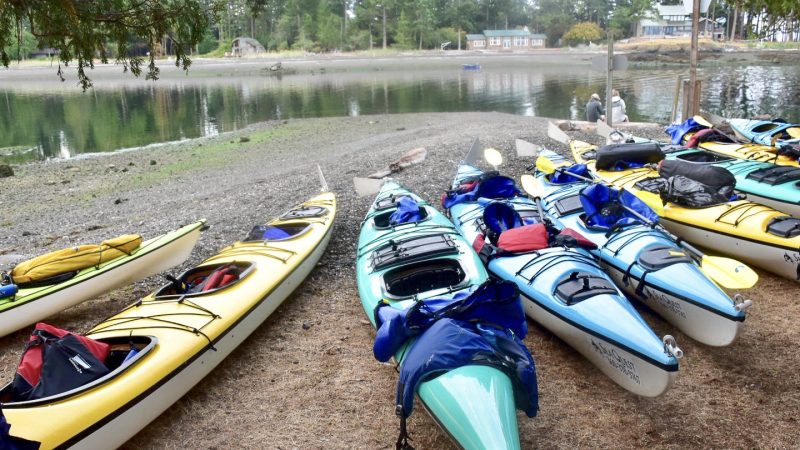 Row of sea kayaks along a beach covered in pine needles. The kayaks are yellow, mint green blue with oars and life jackets stashed on board. There is a body of green water above the beach and across the water are fir trees and a couple of houses.