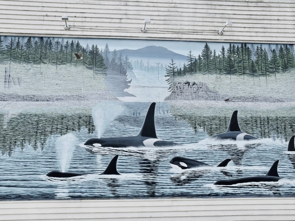 White wooden clapboard wall with a painted mural in the middle. The mural features a pod of orcas swimming into the picture from the bottom right hand side. The front two orcas are blowing water through their blow holes. The mural features green fir trees in the background and a grey mountain. The colours of the mural are greys, greens and turquoise.