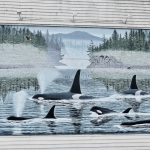 White wooden clapboard wall with a painted mural in the middle. The mural features a pod of orcas swimming into the picture from the bottom right hand side. The front two orcas are blowing water through their blow holes. The mural features green fir trees in the background and a grey mountain. The colours of the mural are greys, greens and turquoise.