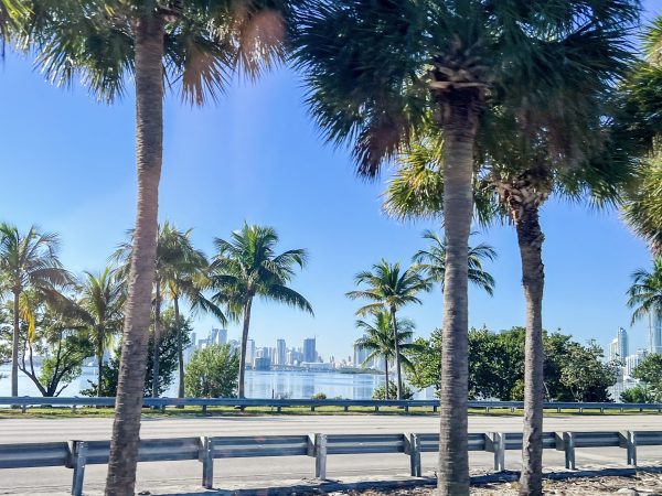 View taken from the right lane of the road, over the left lane of the road to body of water with city scape in background. Palm trees in foreground and background