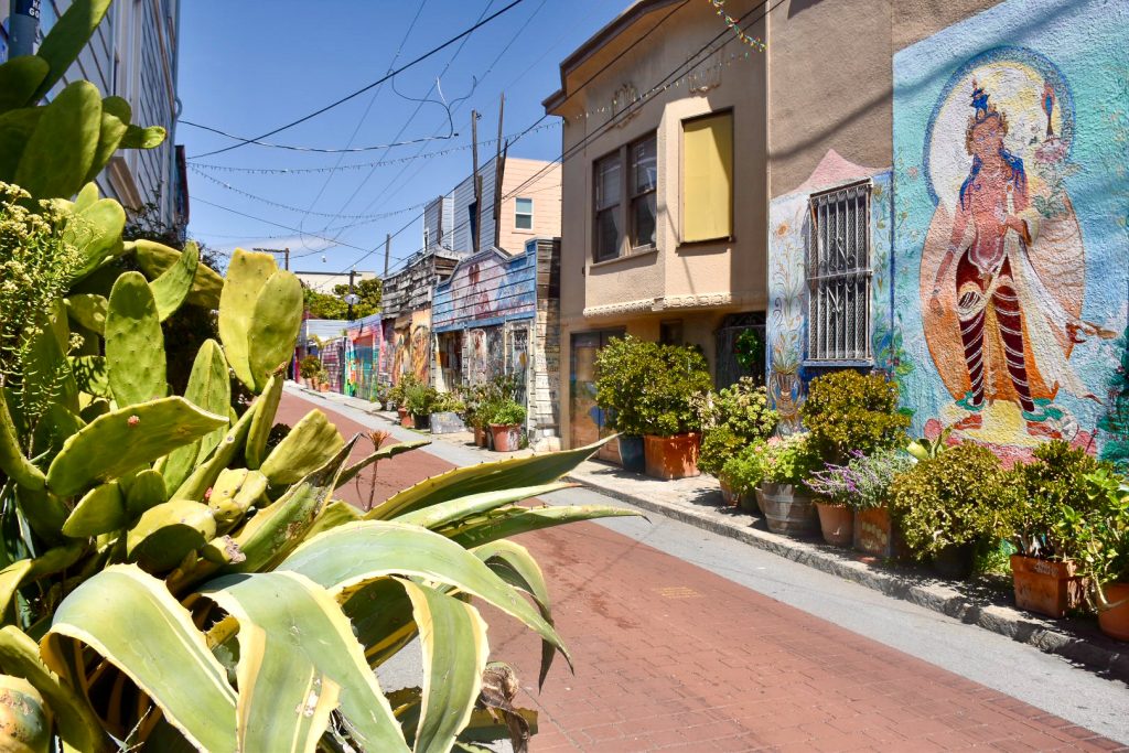 View down Alleyway with murals on the walls on the right hand side, green plants and cacti on the left hand side