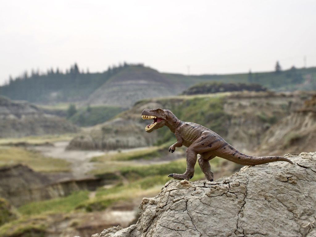 A Trex dinosaur (model off) stands on a rock in the foreground and is in focus - it is showing its teeth in a roar. In the background is a valley filled with grass and bumpy rocks making a Prehistoric scene