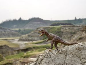 A Trex dinosaur (model off) stands on a rock in the foreground and is in focus - it is showing its teeth in a roar. In the background is a valley filled with grass and bumpy rocks making a Prehistoric scene