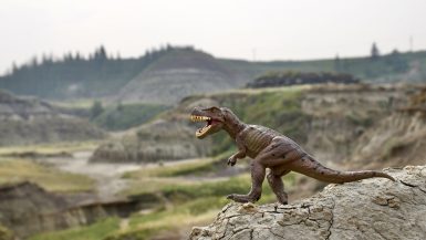 A Trex dinosaur (model off) stands on a rock in the foreground and is in focus - it is showing its teeth in a roar. In the background is a valley filled with grass and bumpy rocks making a Prehistoric scene