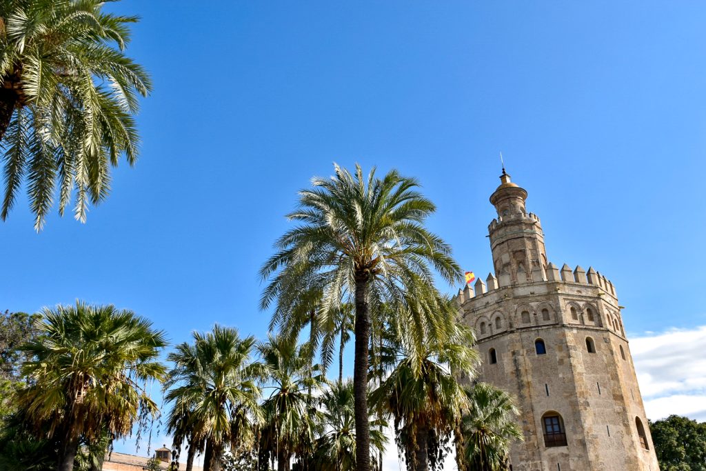 Cloudless blue sky in top half of the photo. Bottom right of the photo has a circular stone tower - Byzantine style flying the Spanish flag. To the left are a group of palm trees