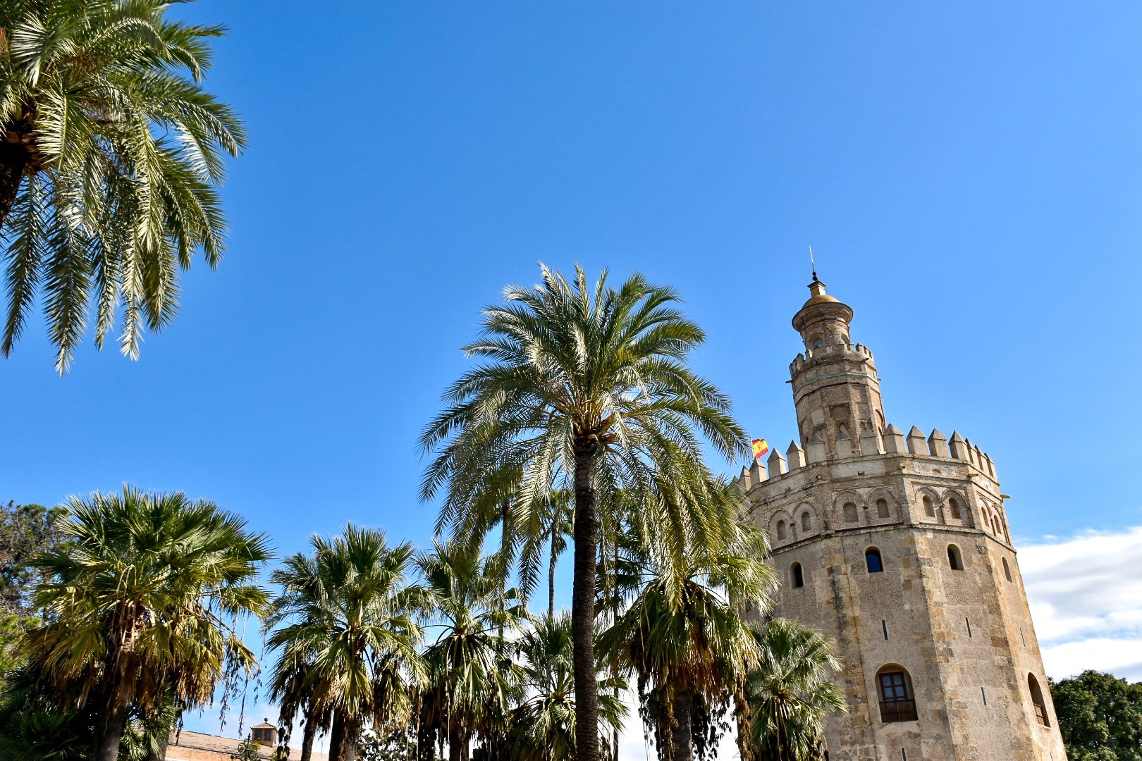 Cloudless blue sky in top half of the photo. Bottom right of the photo has a circular stone tower - Byzantine style flying the Spanish flag. To the left are a group of palm trees