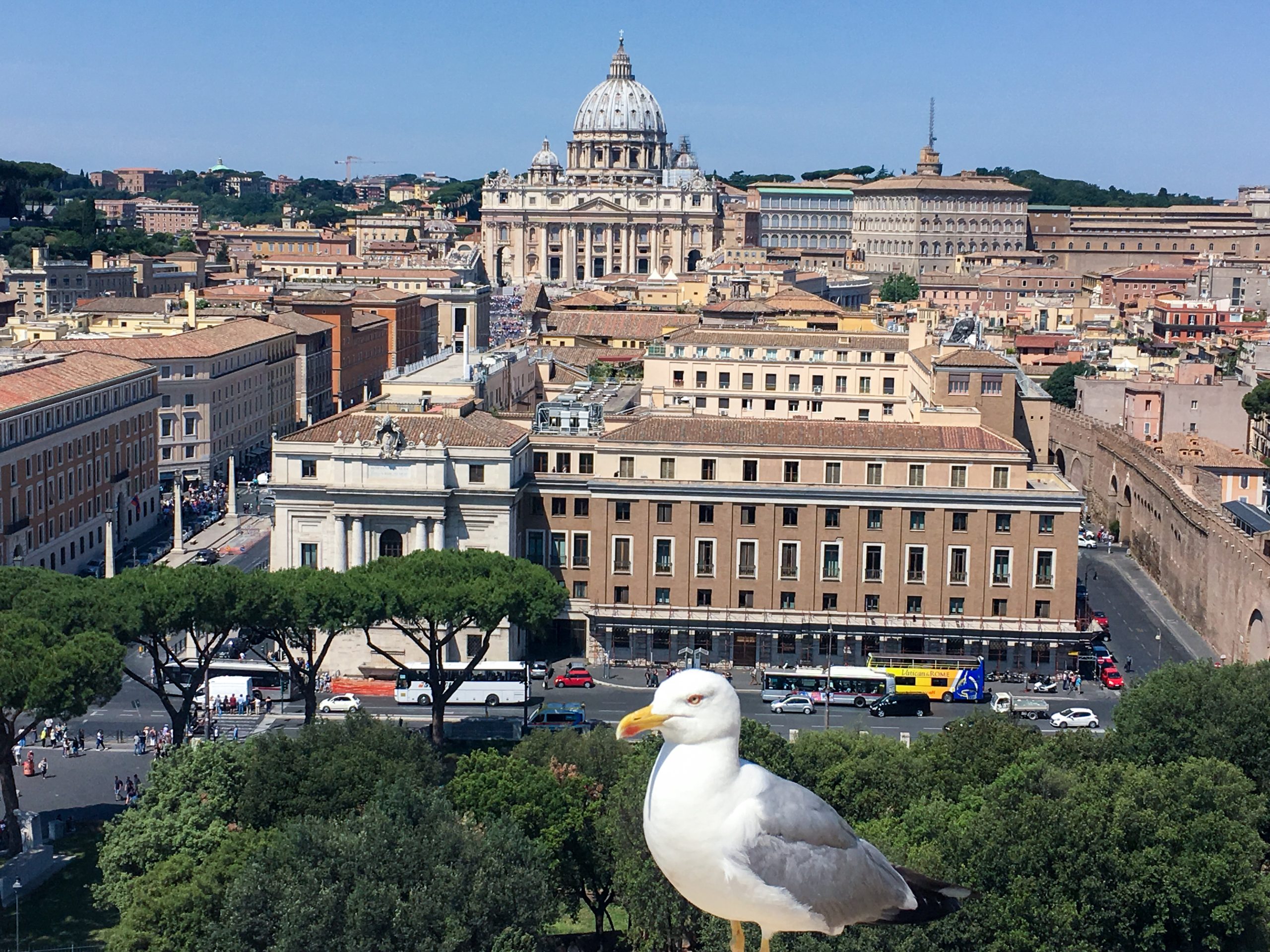 View from the roof of a building across to a large basilica with impressive buildings inbetween. A seagull sits in the bottom centre of photo