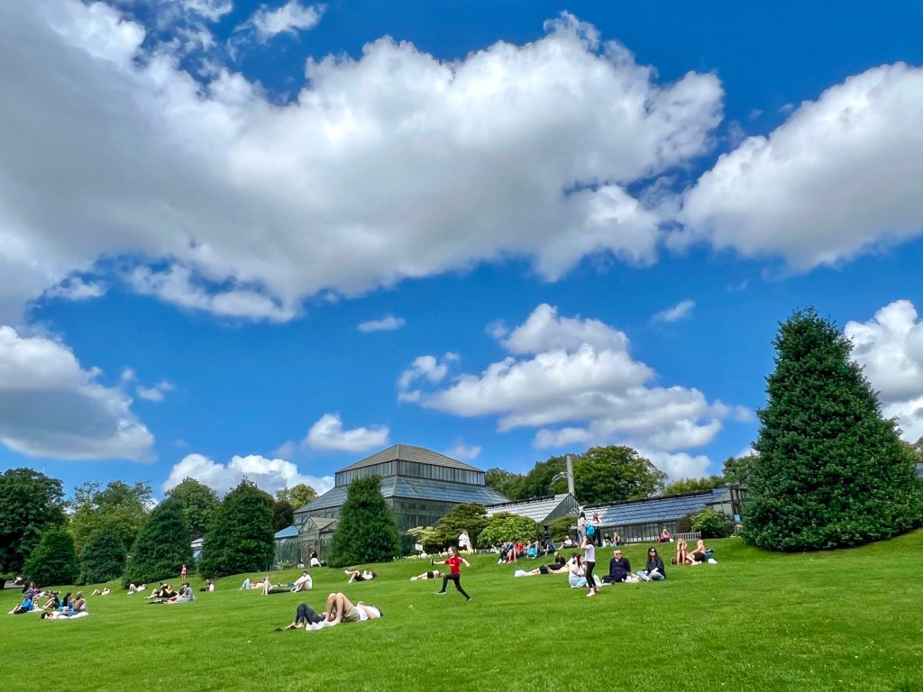 A dark sky with big fluffy clouds at the top of the photo. Large green lawn in the bottom half of the photo. Row of fir trees and large glasshouse on the horizon. People are sunbathing and relaxing on the grass