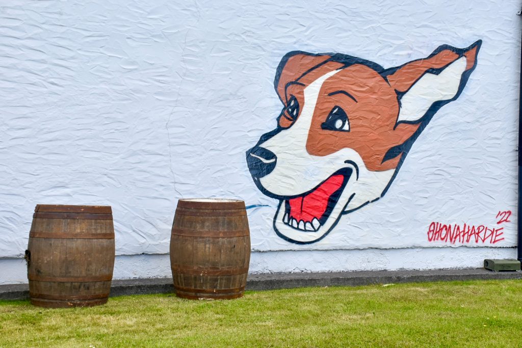 Shorty the Dog, Ardbeg Distillery Tour