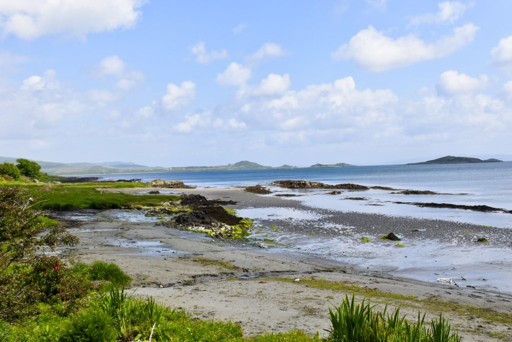 Landscape view of a wet sand beach when the tide is out - there is grass and shrubs around the left hand side and bottom of photo, hills and blue sky with white clouds on the horizon