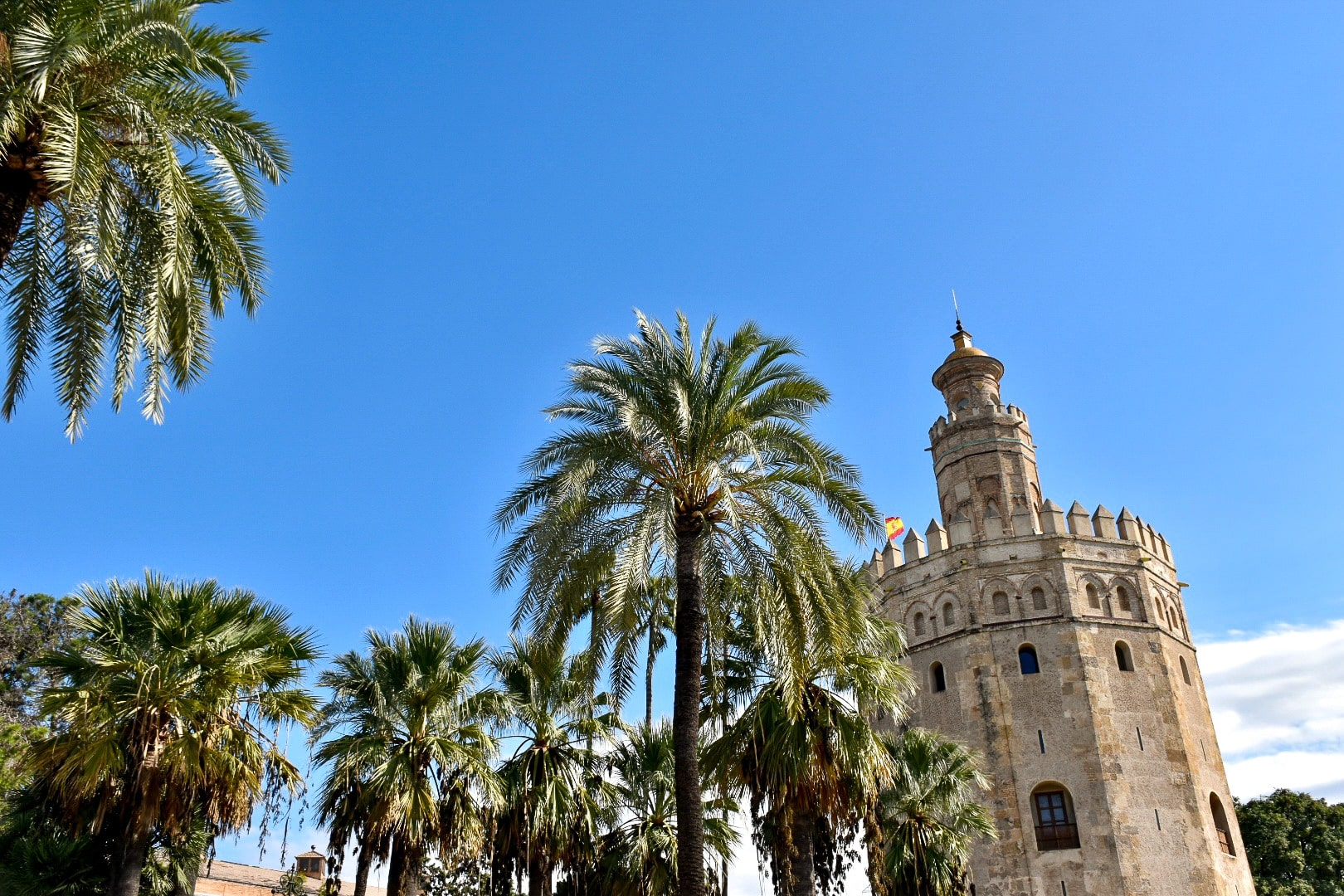 Blue sky in background. Palm trees in foreground. Upwards shot of the trees and a Moorish design stone tower to the bottom right hand side