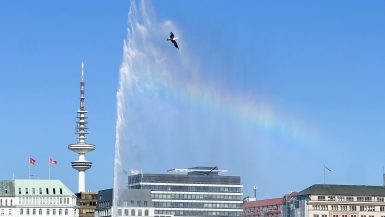 A bird flies in front of the spray of water from a tall fountain against a blue sky. Across the bottom of the frame is a row of buildings and a Spire tower to the left. A rainbow is visible across the centre of the frame.