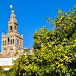 Blue sky in background. Green trees with yellow coloured oranges sin the bottom left. Moorish style tower in the left.
