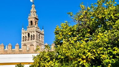 Blue sky in background. Green trees with yellow coloured oranges sin the bottom left. Moorish style tower in the left.