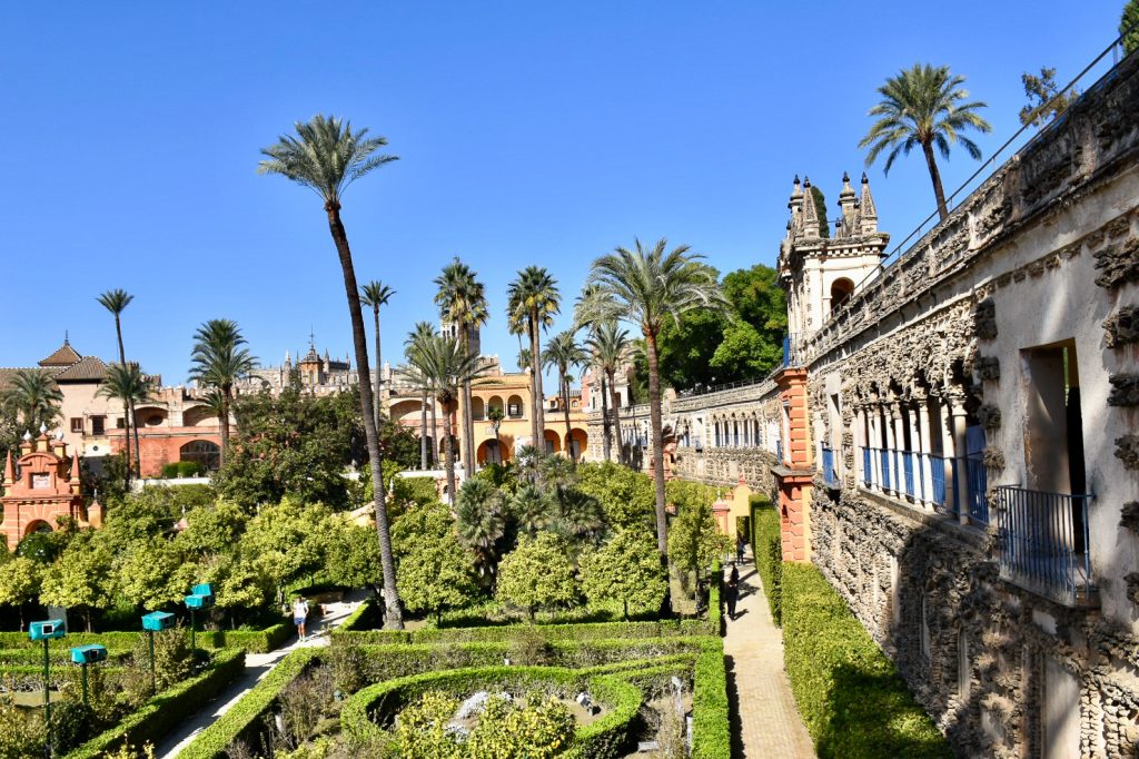 Clear blue sky above. Green manicured gardens below with tall palm trees bridging the two. A colonnade runs from the bottom right hand side towards the middle. Looks Spanish