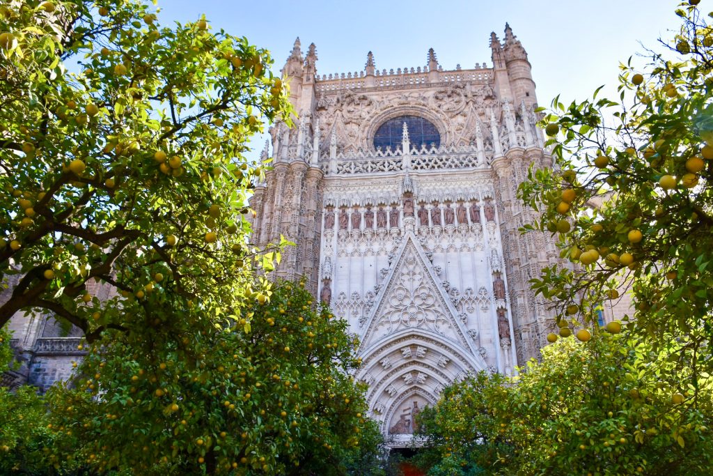 Orange trees to the left and right of the foreground with the tower of a church or cathedral behind, ornately decorated
