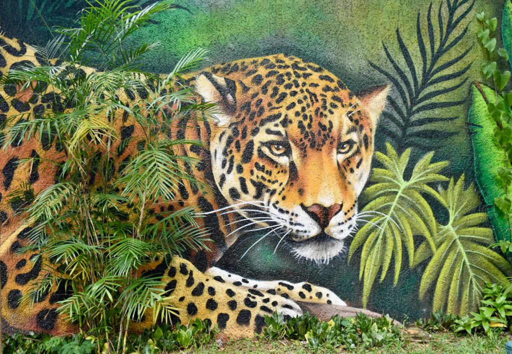 Mural on wall of a prowling Jaguar. Palm trees in front to the left. Bright green background.