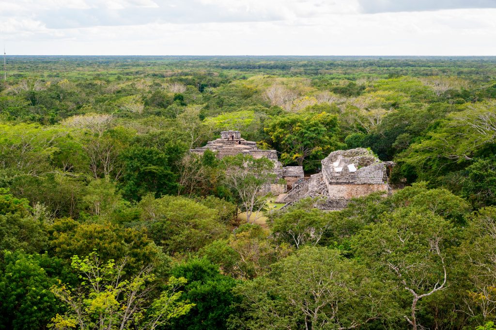 View from above looking out over a forest of green trees with a grey sky on the horizon. In the centre of the trees are the ruins of two stone temple buildings