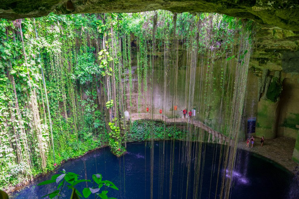 Looking down into a cave with water at the bottom. Tendrils and vines are falling from an opening at the top into the cave. You can see people standing on the sides of the water in life jackets.