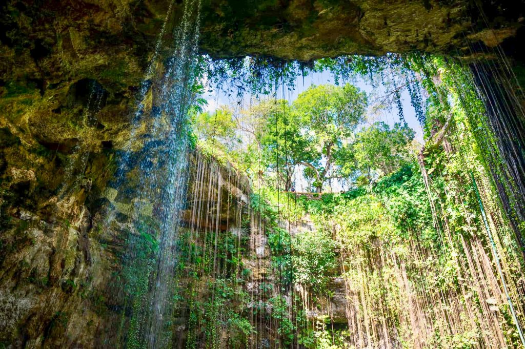 Photo looking up from below a hole in the ground, as if it were a window to the world. Through the whole you can see blue sky and trees above. The tendrils of plants and vines are hanging down from the opening into the cave below. Light and water are streaming in