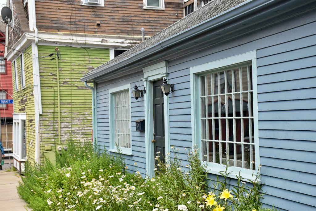 A blue wooden clapboard, single-storey house fills the frame from the right hand side. Two large multi-paned windows either side of a black door. Wild flowers in front. A taller wooden building to its left painted green and brown