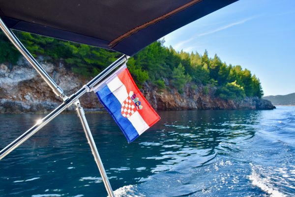View from the back of a boat looking at calm water and trees on rocky shoreline. There is a flag flying from silver awning at the back.