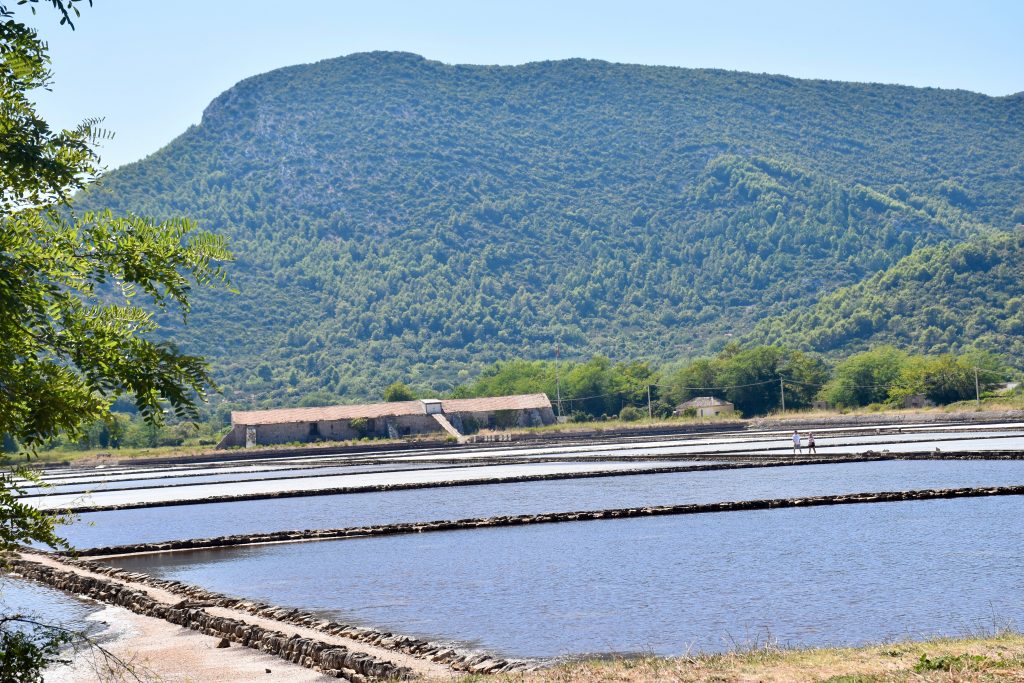 Large salt pans in the bottom half of the frame with tree covered hills behind.