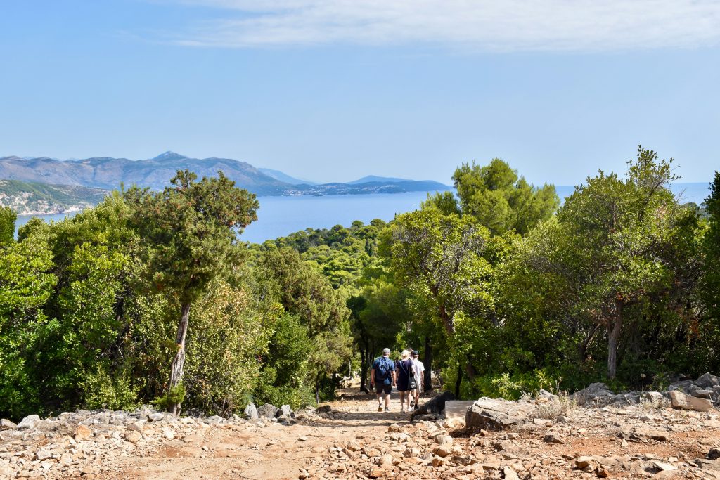 View down a stoney hill into a forest of trees. In the distance is a sea with mountains on the horizon. Pale blue sky above