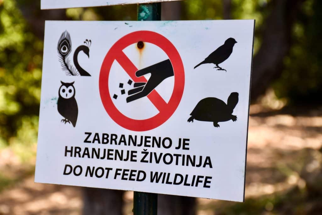 White signpost fills the frame with trees and ground behind (but out of focus). The sign has a red forbidden sign over a hand appearing to feed animals silhouetted around the edge in black. It says 'Do not feed wildlife' underneath