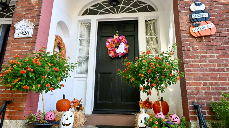 Photo of a house entrance. Black door surrounded by a white frame with glass panels to the side and above. Red brick walls to either side. Doorstep filled with pumpkins in orange, white and pink colours. Two bay leaf style trees. A colourful pink and orange reef on the door. Happy Halloween sign to the right. House plaque dating 1826 to the left