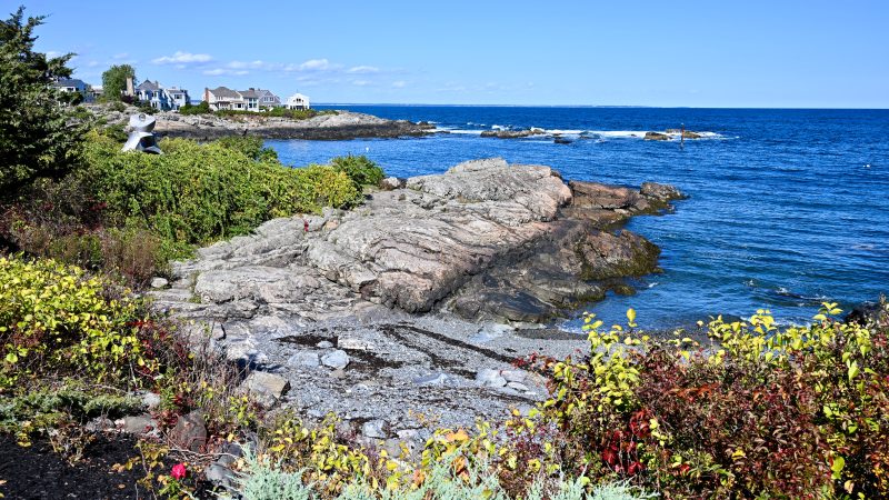 View over rocks to the sea. The rocks are surrounded by multicoloured shrubs and plants. Behind on the left hand side is a small strip of rocky land stretching out into the water with large houses on it