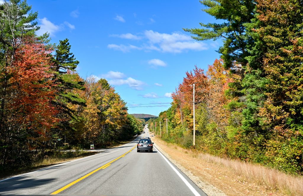 Looking down a tarmac road with white and yellow markings. Multicoloured trees to the left and right - greens, yellows and oranges as if Autumn. Blue sky above with a handful of small white clouds. A grey car is driving away from the camera along the road