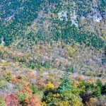 The frame is filled with multicoloured trees across a valley. From the bottom of the frame, a hill leads down to a road at the base of the valley. The trees are red, orange, yellow and green. Greener trees on the other side