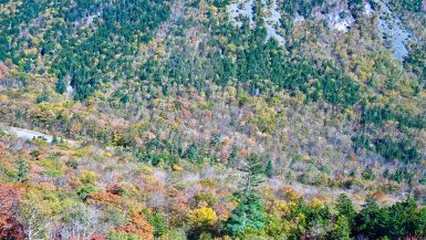 The frame is filled with multicoloured trees across a valley. From the bottom of the frame, a hill leads down to a road at the base of the valley. The trees are red, orange, yellow and green. Greener trees on the other side