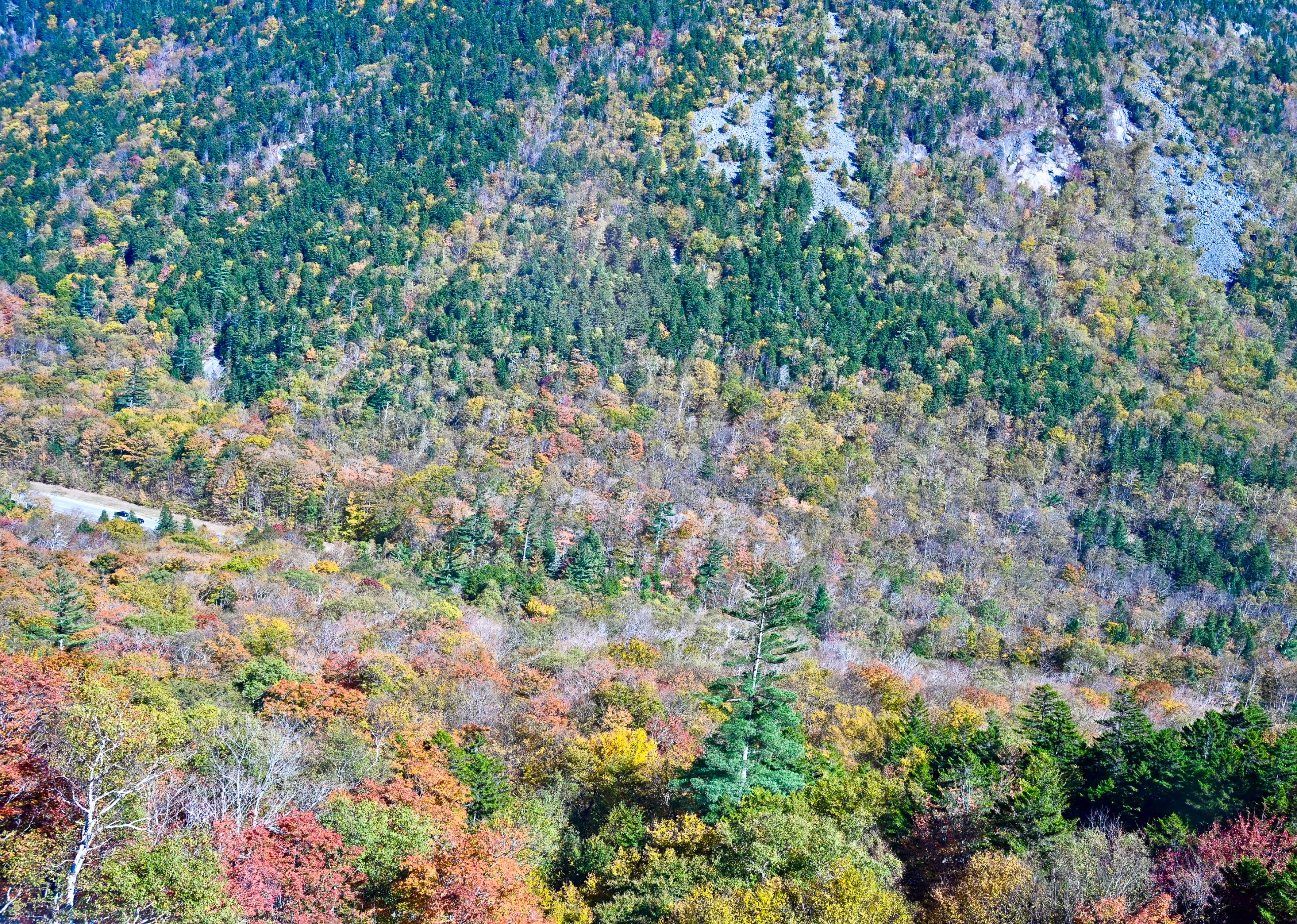 Riding The Conway Scenic Railroad Through The White Mountains In