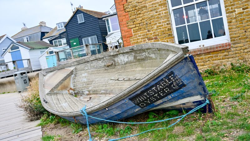 An old rowing boat lines on its side on a patch of grass in the front of the frame. It is painted sky blue and has the words Whitstable Oyster in white on the side. Unpainted inside. Brick building with large white framed window behind to the right. Row of wooden clapboard houses of in whites and blues behind to the left
