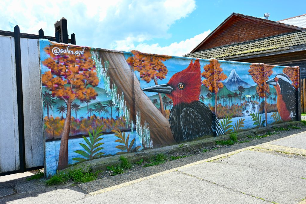 A large banner runs along a wall across the centre of the frame. Brown wooden building to the right hand side. Pale blue sky and clouds above. Pavement in futon. The banner is blue and features a large woodpecker with black body and red he'd. A second bird to the right along with a volcano and orange leaved trees,