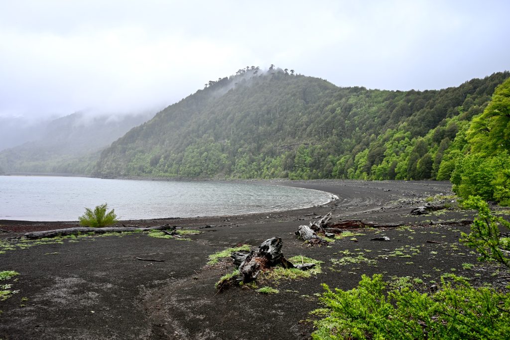Conguillio National Park, raucarias UNESCO Biosphere Reserve, Chile