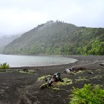 Conguillio National Park, raucarias UNESCO Biosphere Reserve, Chile