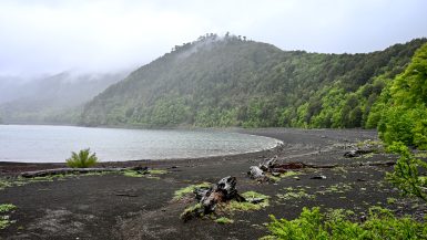 Conguillio National Park, raucarias UNESCO Biosphere Reserve, Chile