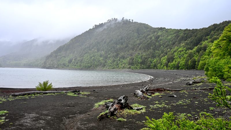 Conguillio National Park, raucarias UNESCO Biosphere Reserve, Chile