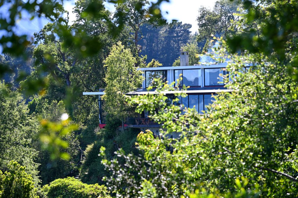 View through the trees to a modern glass building with large square windows. Trees behind