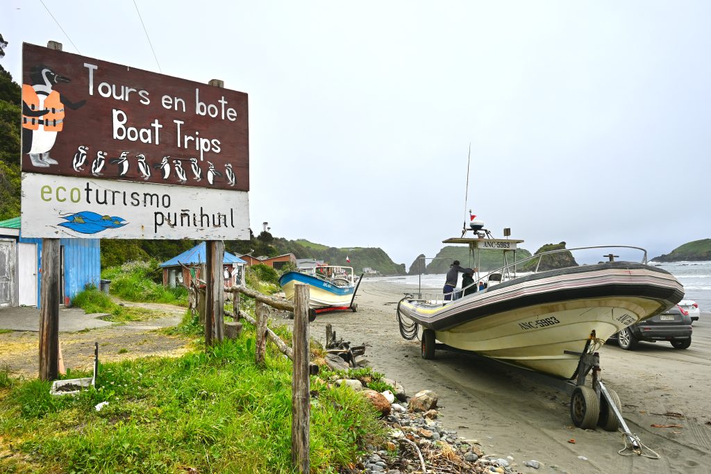 Sandy beach with a small white boat parked on the sand to the right. To the left is a wooden sign saying 'Tours en bote / Boat trips. Ecoturismo Punihuil'. Grey sky above