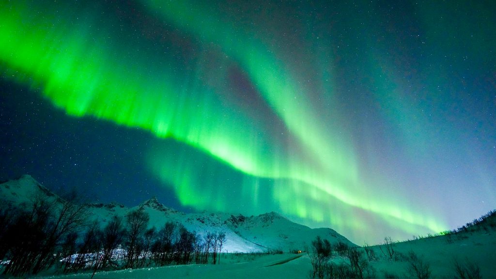 Green Northern Lights brave a snowy mountain with trees in front