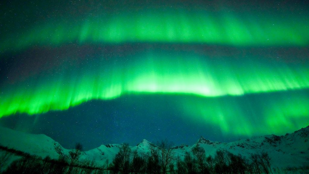 Sky filled with layers of green lights over a row of trees and snowy mountain peaks. Northern lights