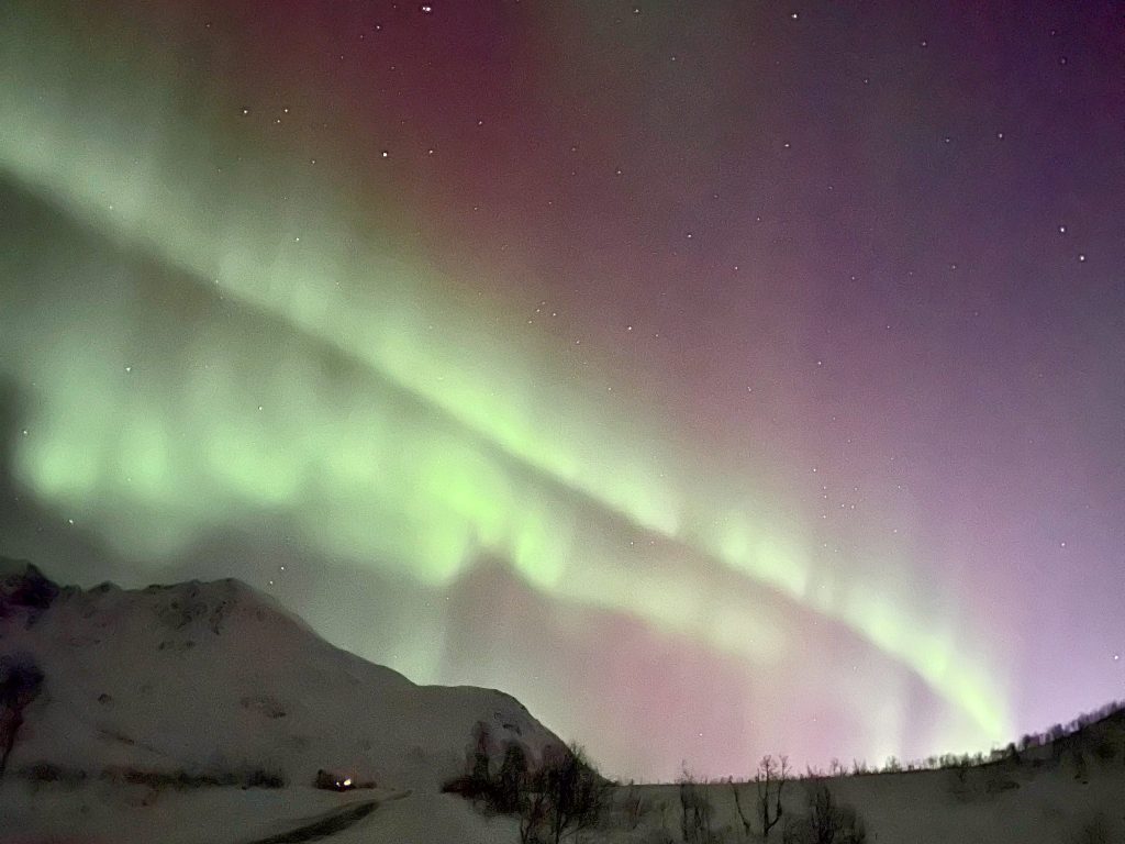 Green arches of light with purple light behind. Silhouette of mountains along the bottom