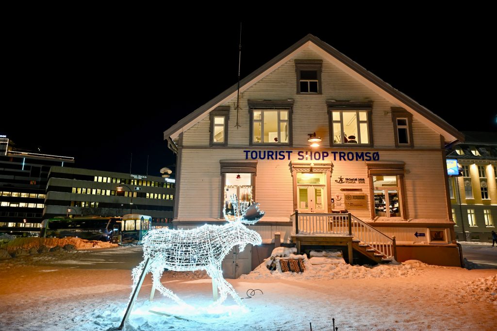 Night sky with wooden building bathed in lights. Illuminated reindeer in front on the snow.
