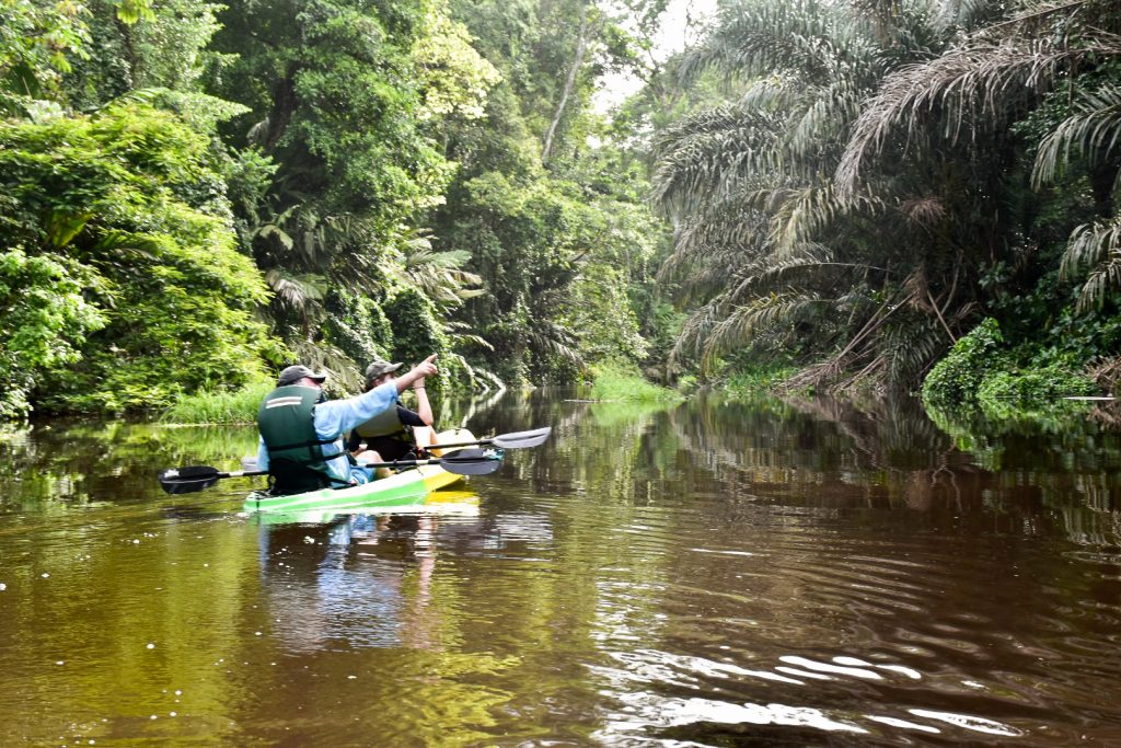 View along a water channel with tropical trees on either side. A man in a green kayak is pointing to something in the trees